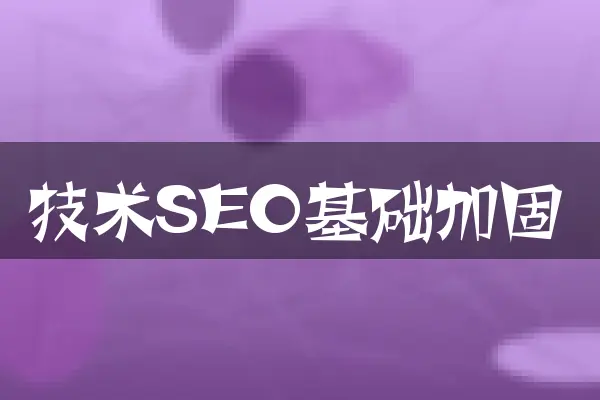 技术SEO基础加固